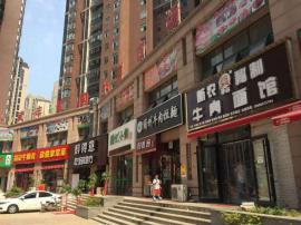 洪山区团林路地铁武丰佳园133平米品牌餐...