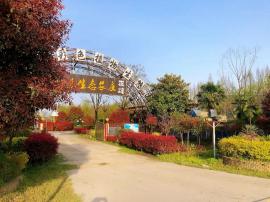 东西湖彩色植物园农家乐出租