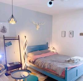 沌口博学路商业街盈利中民宿转让